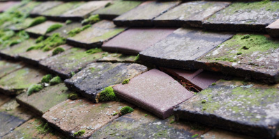 Blackness roof repair costs